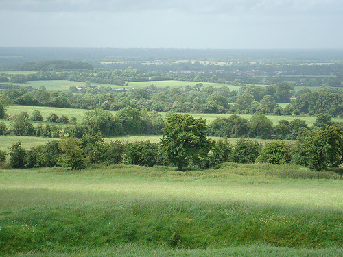 Hill of Tara